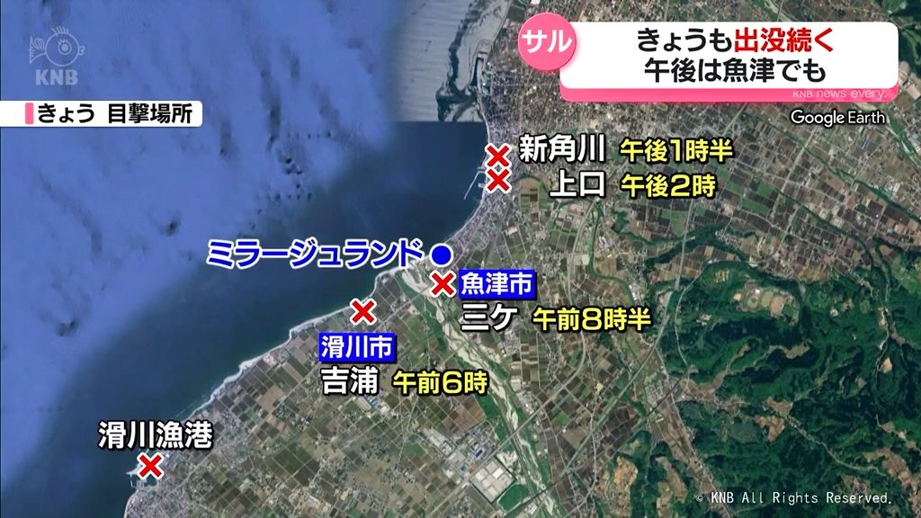 穴場スポット常滑市 『樽水漁港：たるみぎょこう』の釣り場ガイド 駐車場・釣れる魚 東海釣りWALKER