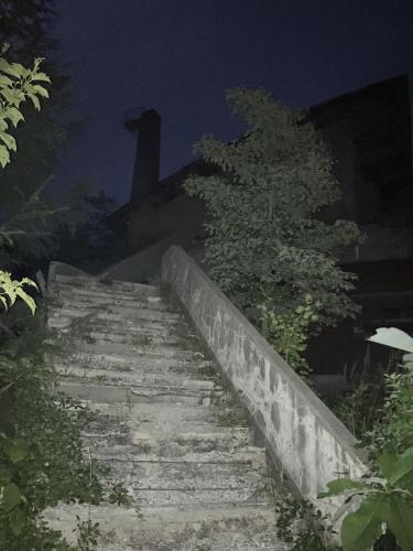 この横向ロッジは過去に火災があったらしく、オーナーが自◯した、とか、亡くなった親子の霊が出ると言われ、特に子供の霊が出ると言われている。磐梯吾妻スカイラインに行くためには絶対に通らなければならない道で、今は廃墟化した福島の心スポとして有名である。 雪が