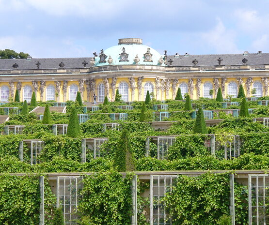 ドイツ サンスーシ宮殿の観光・見所について 現地オプショナルツアーの みゅう