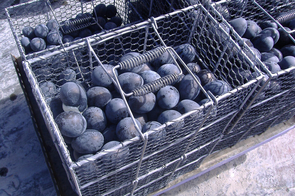 大涌谷くろたまご館箱根町仙石原- 箱根自然景観・絶景 の口コミやアクセス情報aumo アウモ