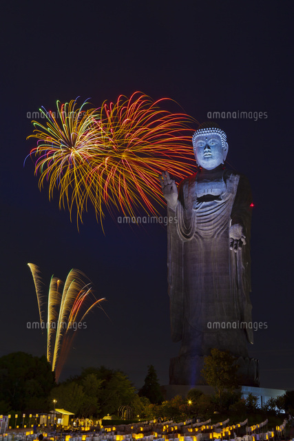 牛久大仏 牛久浄苑 俯瞰撮影 茨城県192456239