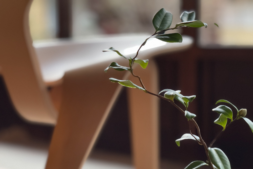 ポール・ケアホルム展京都建仁寺塔頭両足院Kousei Ikeda池田航成