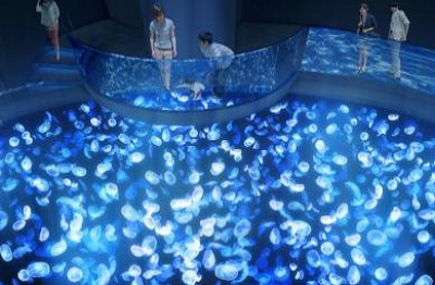 スカイツリーエンジョイパック すみだ水族館入場プラン東京スカイツリー - オンライン予約・購入サイトLINKTIVITY
