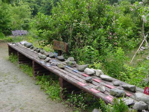 くずはの広場ってどんなところ？秦野市役所