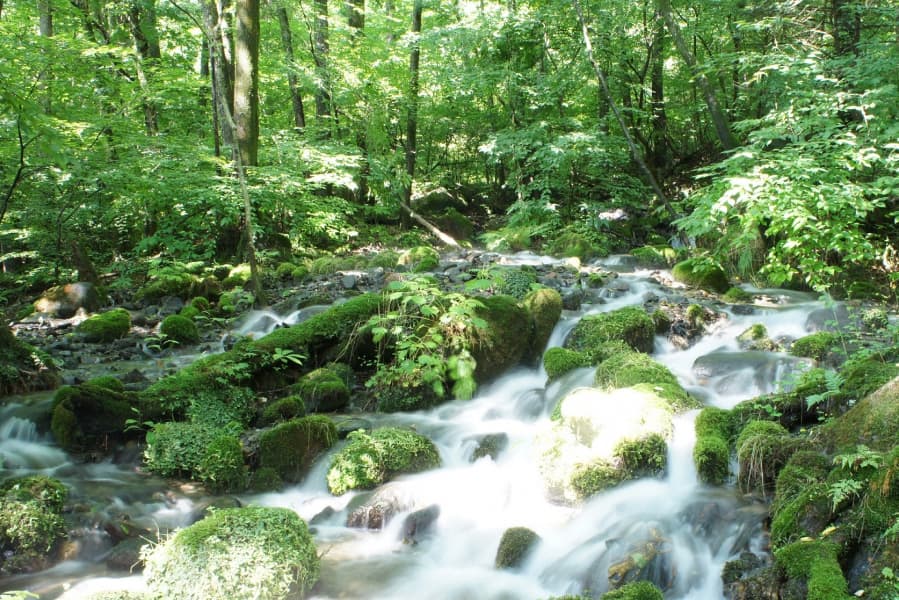 絶景 栃木県のおすすめ観光スポット5選！王道から穴場まで◎aumo アウモ