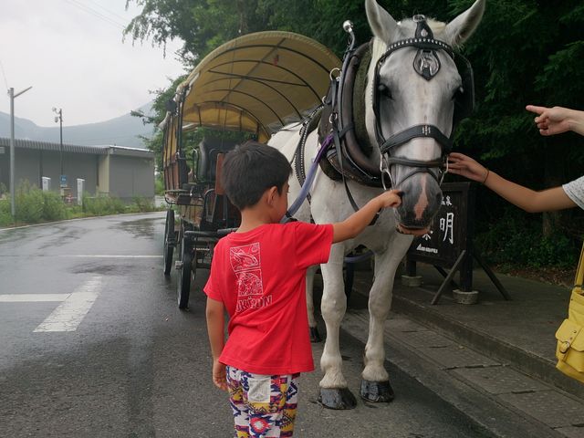 観光辻馬車 – 湯布院の観光ガイド360@旅行ナビ