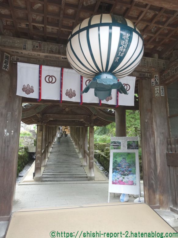 長谷寺 奈良おすすめの見どころ５選＋１ ～歴史やアクセスもご紹介！ならこじ