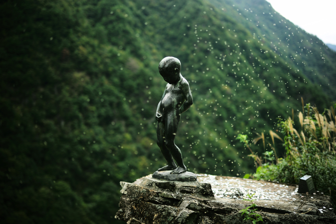 祖谷渓・小便小僧・ひの字渓谷大歩危祖谷ナビ＜三好市公式観光サイト＞