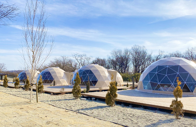 那須ハミルの森：那須高原の自然をペットと一緒に満喫できるグランピング施設