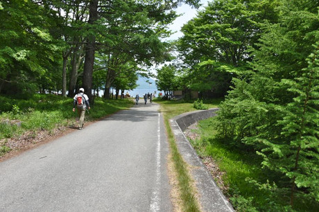 奥日光千手ヶ浜６月 クリンソウに逢いに行こう