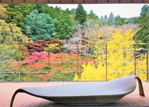 伊豆「月ヶ瀬温泉 雲風々 うふふ 」2025年1月11日グランドオープン。新ダイニング会場誕生株式会社Resort＆Spa雲風々のプレスリリース