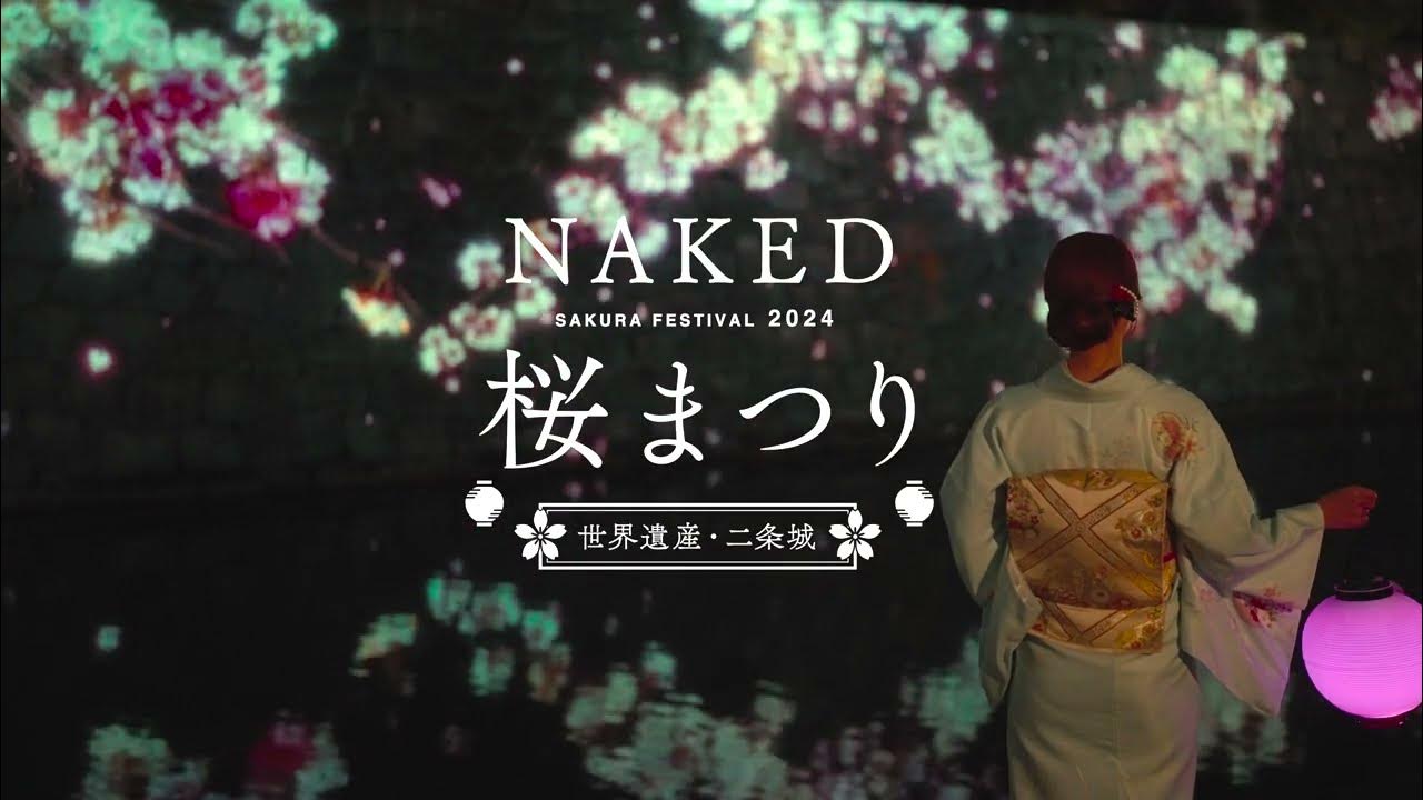 二条城 ライトアップ 2025 春：