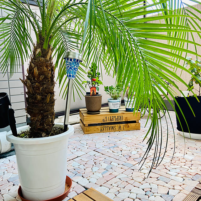 まるでリゾートホテル！ベランダをアウトドアリビングにする方法大塚家具インテリアのはなし