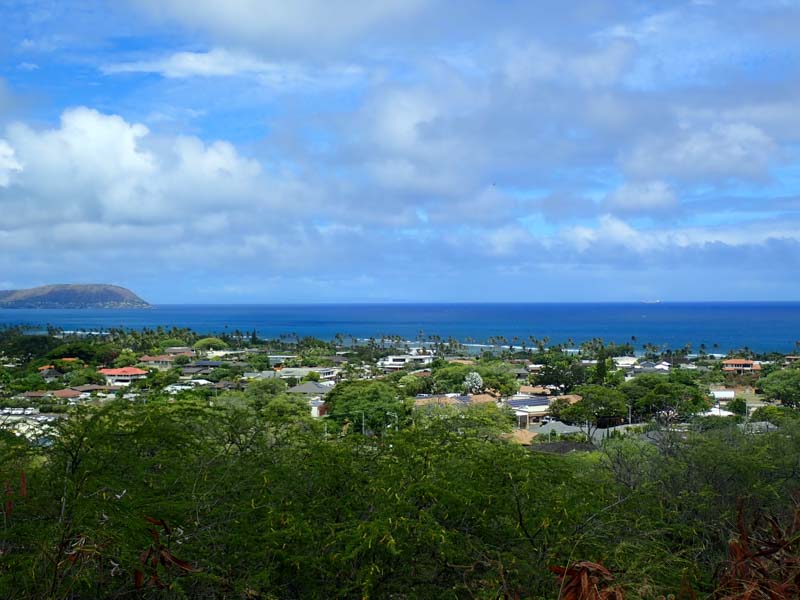 初心者必見！ダイヤモンドヘッドの魅力と行き方完全ガイドALOCO アロコ