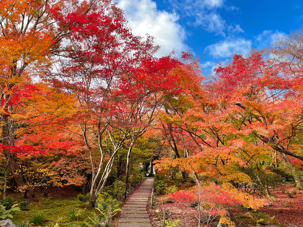 宝筐院 の周辺スポット・アクセス・口コミ - Prism Japan