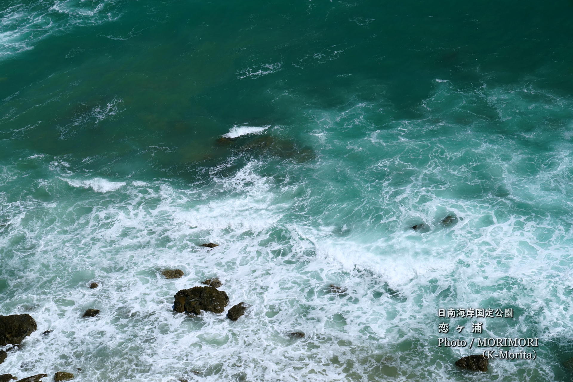 41th全日本級別サーフィン選手権大会 ファイナル〓Shortboard women