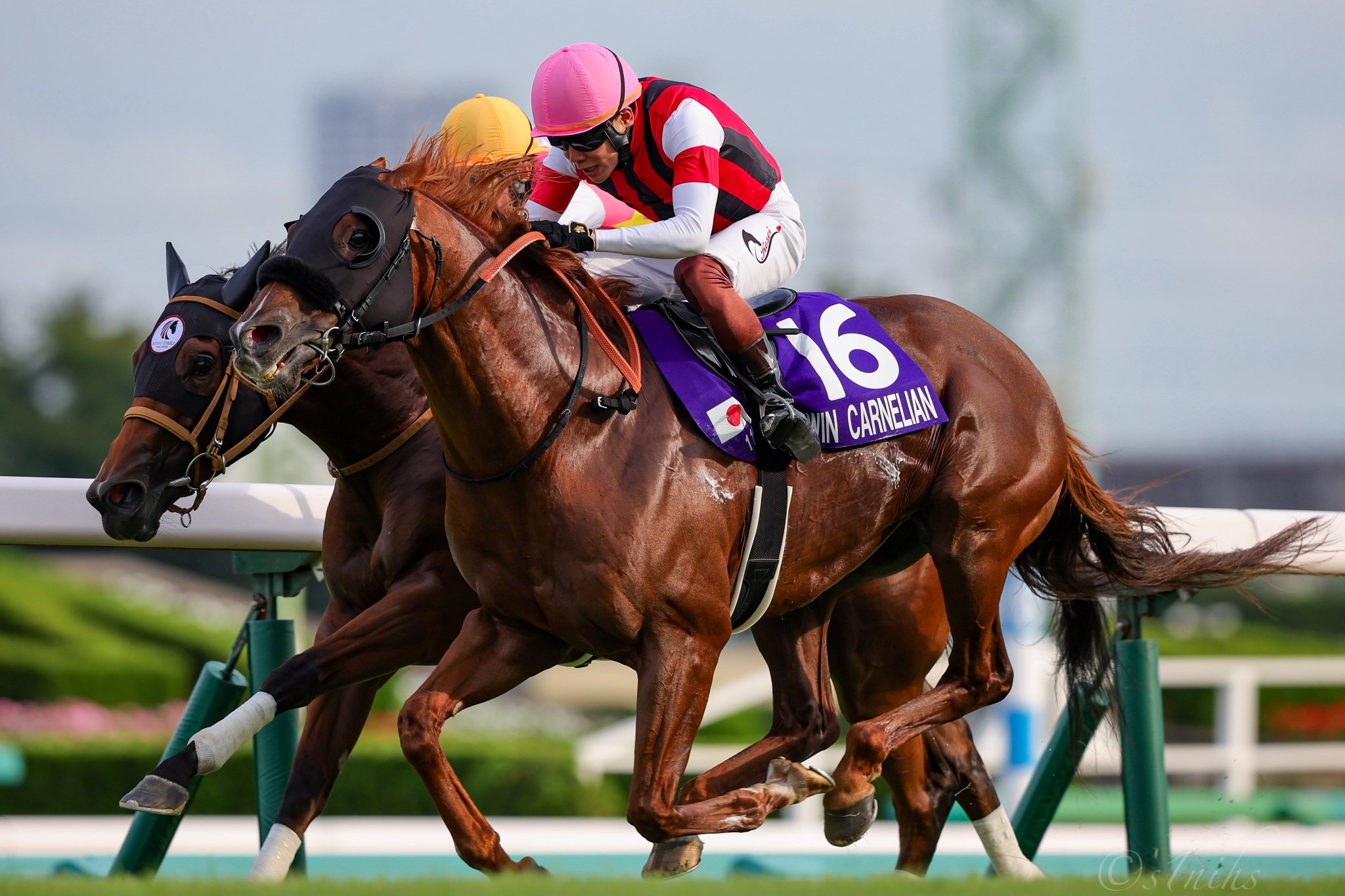 WEDS ADVENTURE KEELER TACTICS