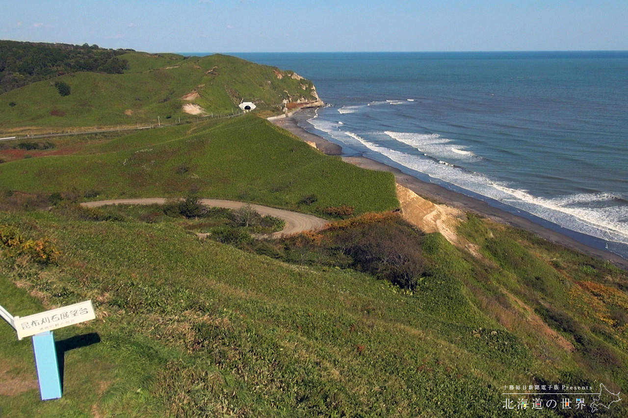 昆布刈石展望台 ミセスグリーンアップルTikTok