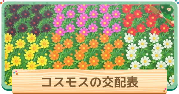 あつ森：売値ごとの花の色と種類まとめ01