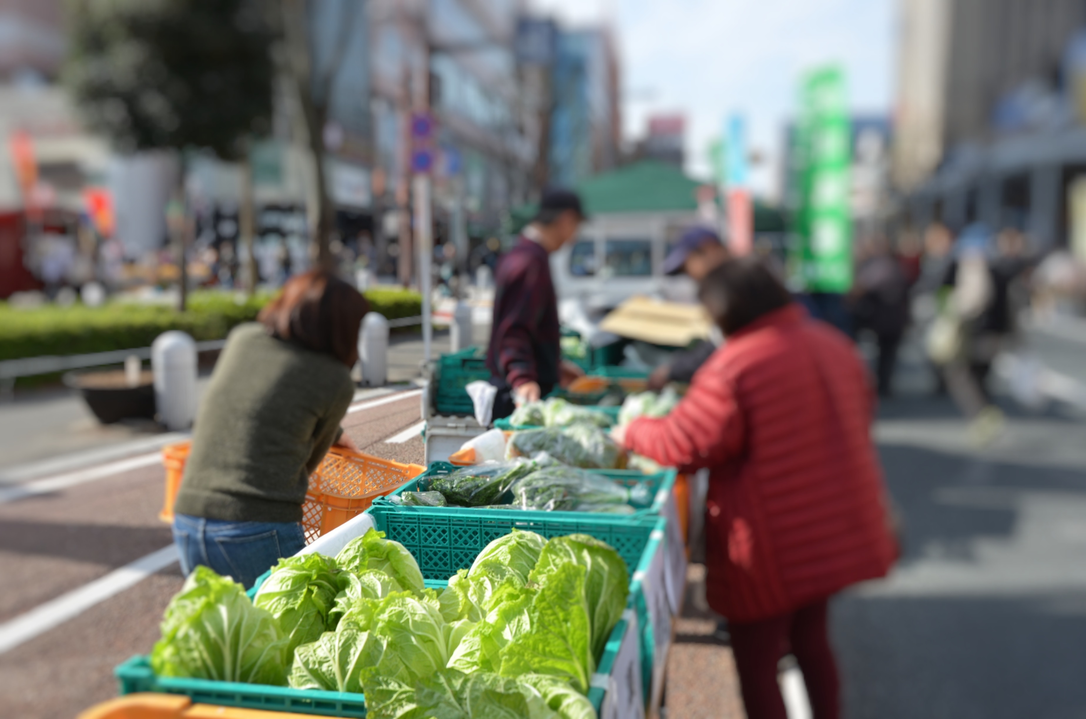 スペインの名門トーレスが誇るトップキュヴェ 『2016年 マス・デ・ラ・ロサ』スペシャルテイスティングエノテカ - ワイン通販