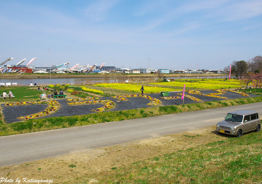 中川やしおフラワーパークのキャンプエリア詳細焚き火も可能な遊びの広場を紹介 – キャンプクエスト