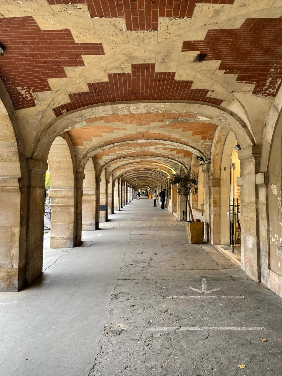 Amazon.co.jp: フランスふらふら一人旅 パリ・アパルトマン生活編