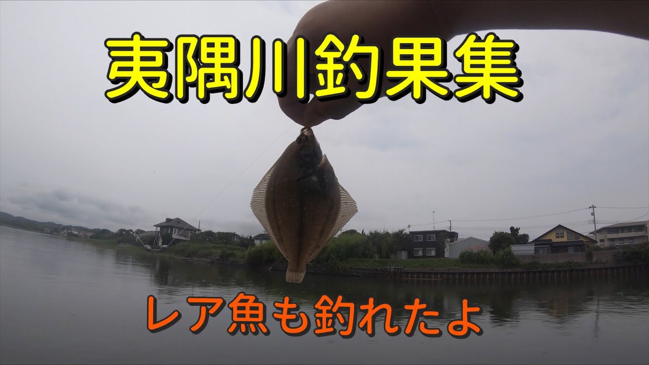 夷隅川河口 外房の見晴らし抜群の釣り場でイシモチ釣り - YouTube