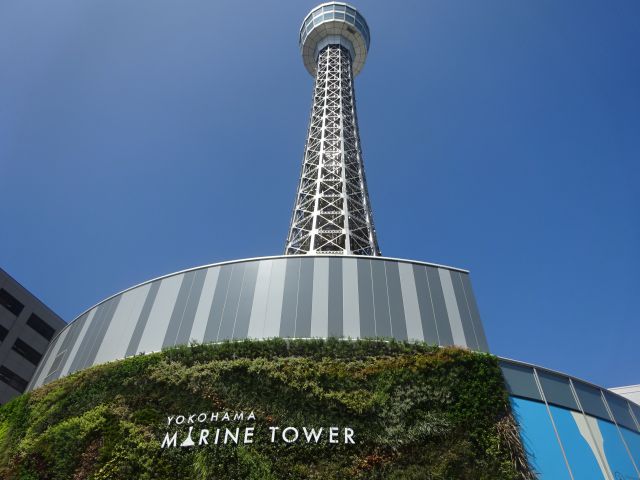 2022年リニューアル！夜景とアートが融合する「横浜マリンタワー」の楽しみ方ガイド楽天トラベル