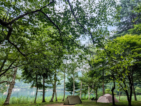 山梨県 道志村 川沿いや木陰が涼しい、ニュー田代オートキャンプ場へ行ってきた！まふハピキャンプキャンピングカーが欲しい🙏