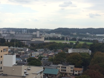 東京競馬場の口コミ一覧子供とお出かけ情報「いこーよ」