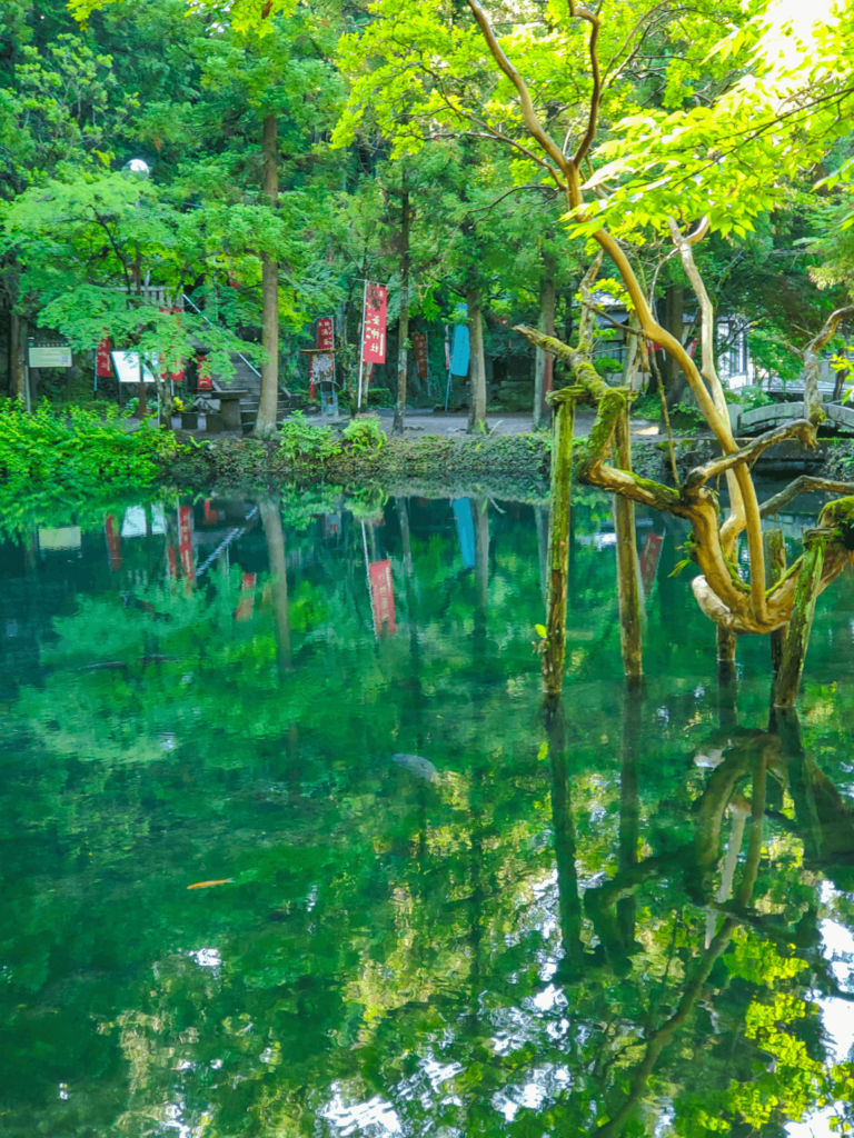 2024栃木県の紅葉名所と穴場21選 奥日光・鬼怒川・佐野市の見頃もいこーよとりっぷ