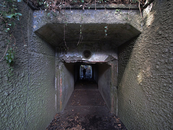 東京湾要塞「大房岬」 富浦