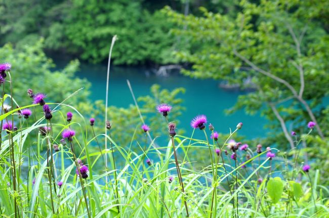 裏磐梯高原ホテル～温泉リゾートホテルで過ごす冬限定の絶景とくつろぎ時間～トレたび - 鉄道・旅行情報サイト