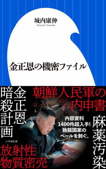 北朝鮮が軍事衛星のポスター作成 「国家の絶対的な力」をアピール：朝日新聞
