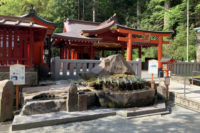 神奈川県箱根神社 詳細地図・駐車場無料有料