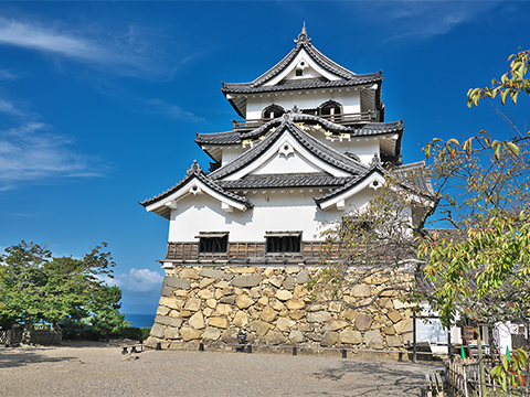 国宝彦根城 第6版宮田思洋 著歴史・考古学専門書店