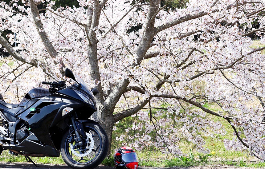 宮城 仙台市をぎゅっと凝縮ツーリング①中古バイク・新車の事ならバイクの窓口