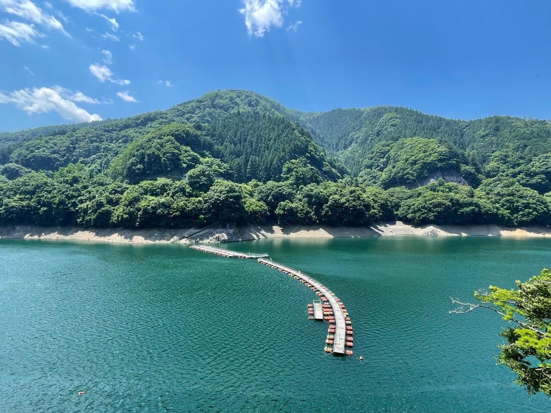奥多摩湖にかかる浮き橋。 「ドラム缶橋」の愛称「麦山の浮橋 」に行きました🍁🍂奥多摩湖を歩いて渡ることができる橋として注目されている奥多摩の名物で全長約220mの橋です✨奥多摩湖奥多摩麦山の浮き橋麦山の浮橋紅葉スポット紅葉秋のドライブ
