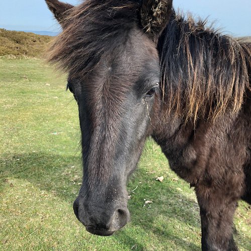 トリスタンダクーニャ島の行き方 : 旅予約