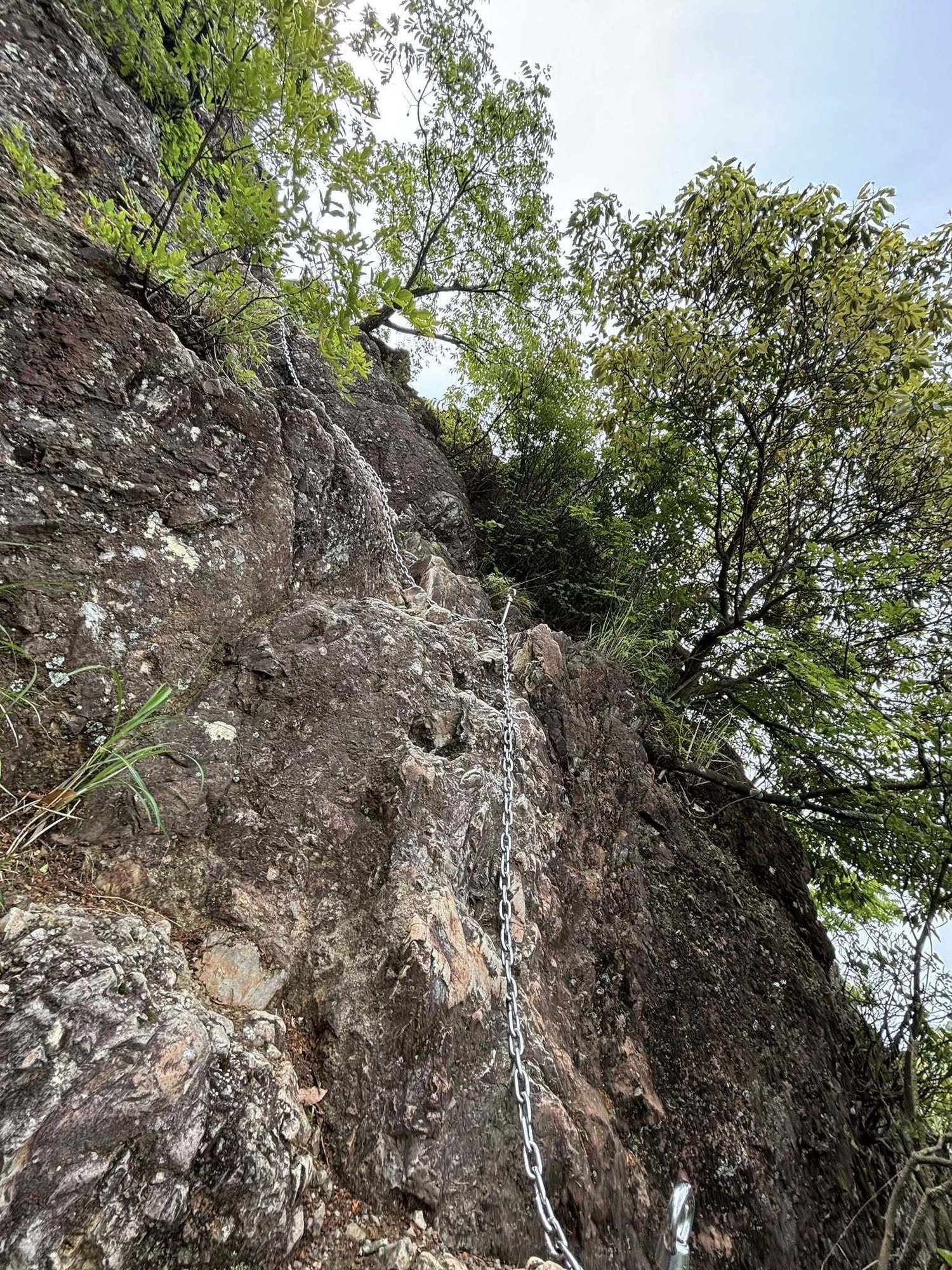 出釈迦寺 クチコミ・アクセス・営業時間善通寺市 フォートラベル