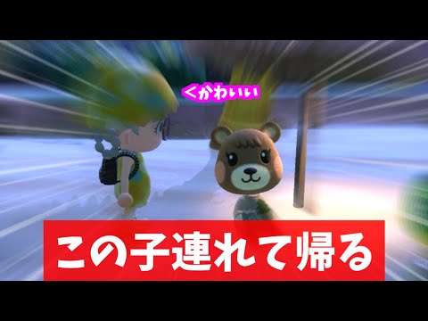 あつ森Vlog メープルがガチギレ！？何に怒っている！？~まったり島暮らし~ Vol 220- YouTube