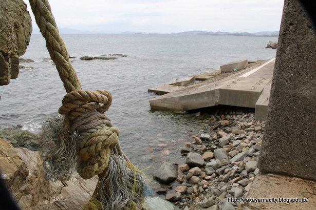 雑賀崎近畿でエギング