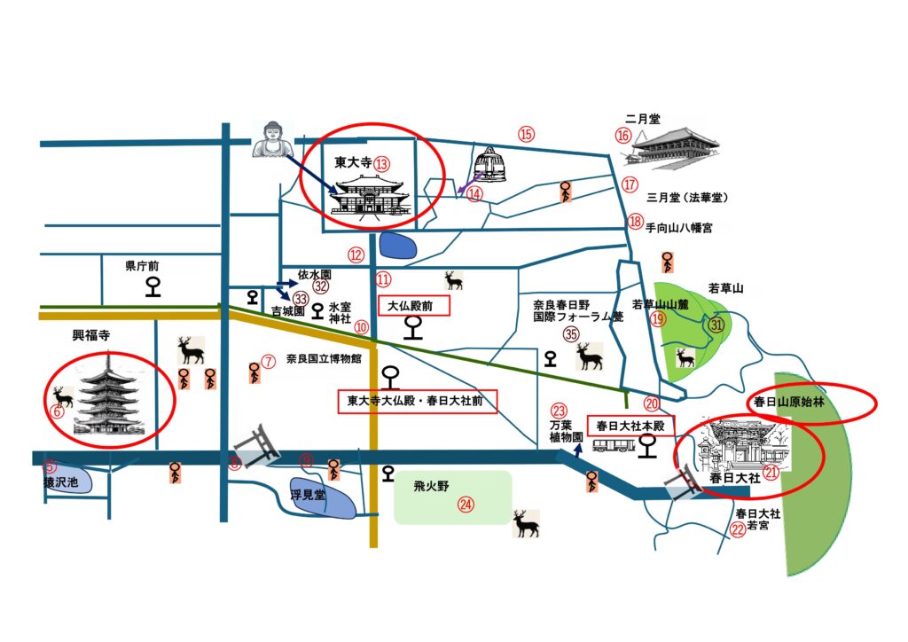 奈良公園：旅行前に知っておきたいおすすめ情報