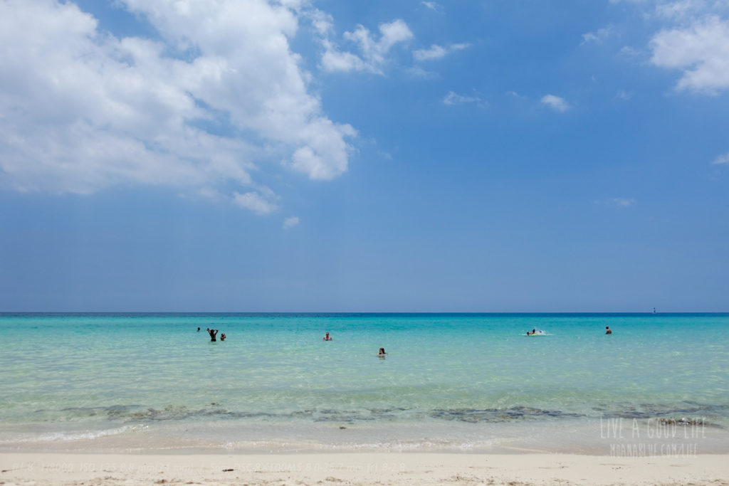 カリブの真珠・キューバ大横断西遊旅行の添乗員同行ツア