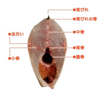 いろんな魚の「鯛の鯛」京都府立海洋高等学校