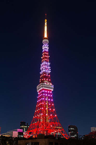 東京タワー＆周辺エリアガイド 東京の観光公式サイトGO TOKYO