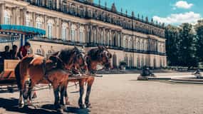 ヘレンキームゼー城 第一の控え室 25511000204 の写真・イラスト素材アマナイメージズ