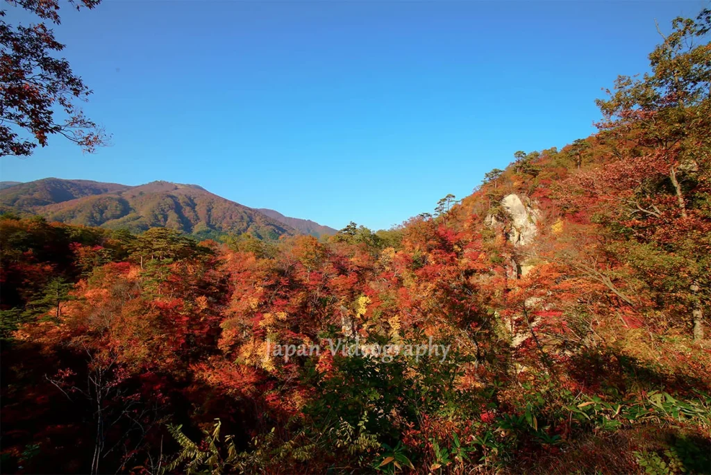 新緑と紅葉の名所 鳴子峡特選スポット観光・旅行情報サイト 宮城まるごと探訪