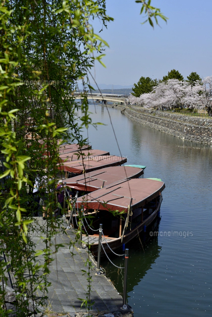 2025最新 京都宇治観光モデルコース半日定番名所と穴場を巡るプランmonologue note