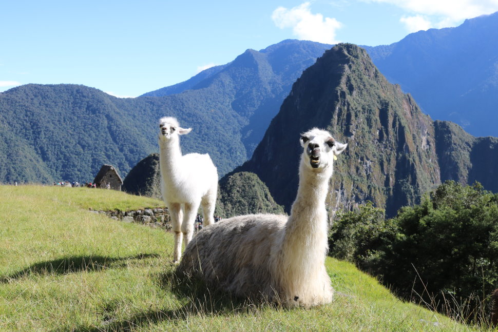 マチュピチュ遺跡 日本発着おすすめプランペルー・ワラスの旅行会社 nandi peruナンディ・ペル